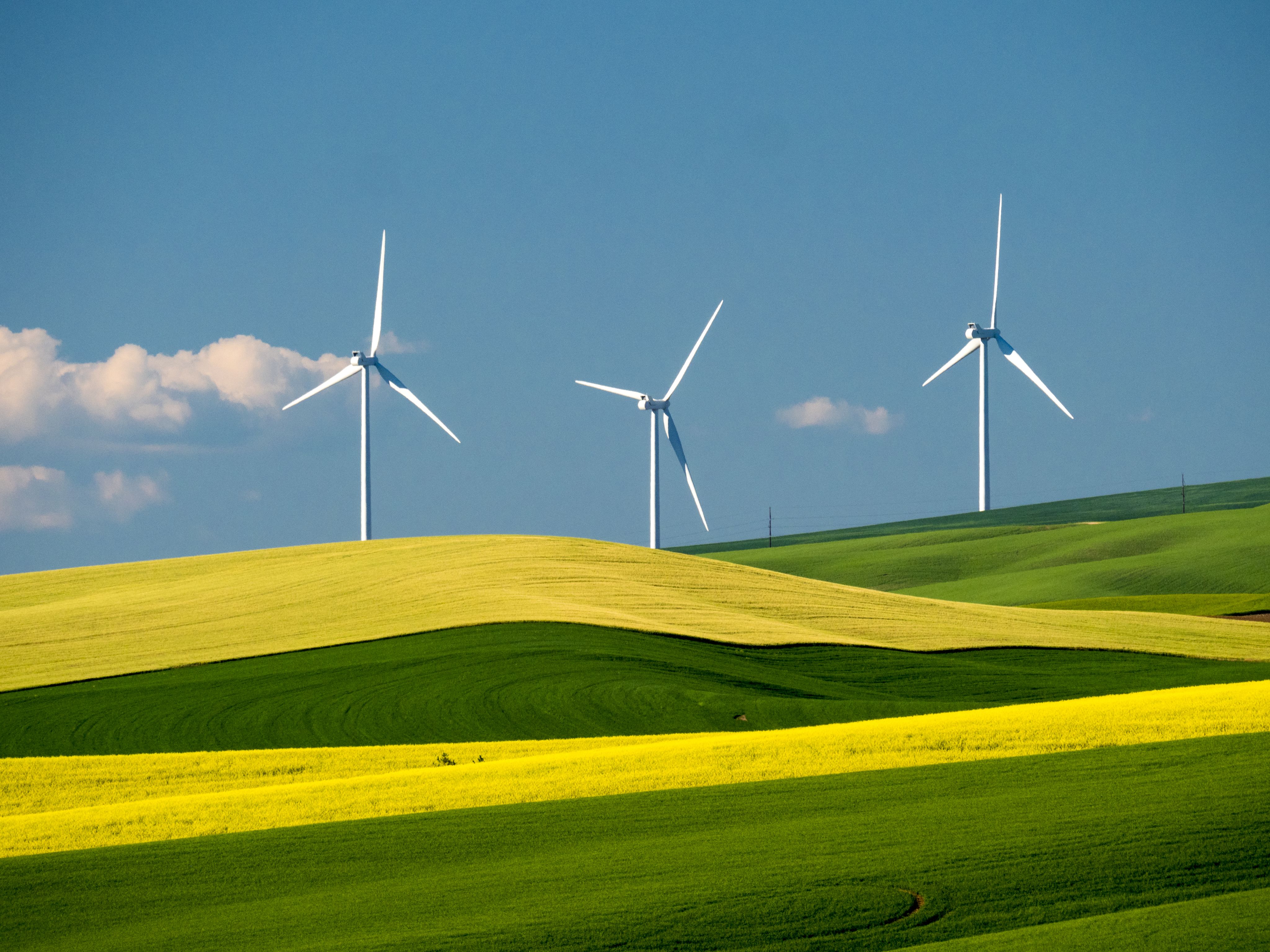Windmills with green grass and blue sky